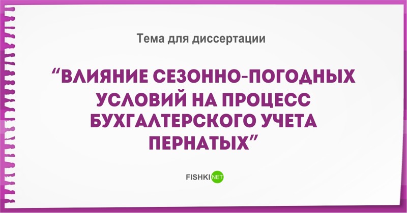 Реальные, но безумные темы дипломов