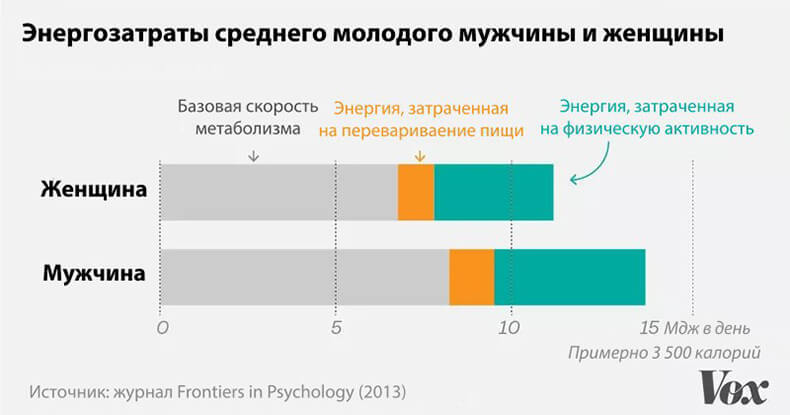 9 главных фактов о метаболизме