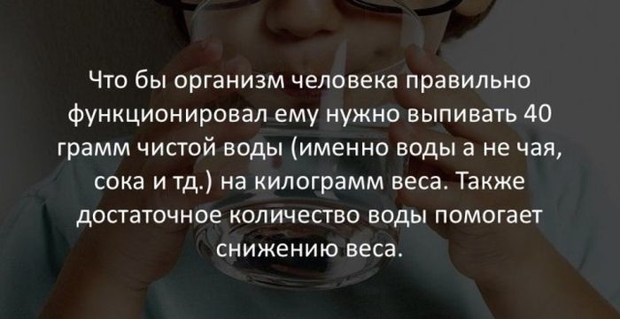 Интересные факты обо всем