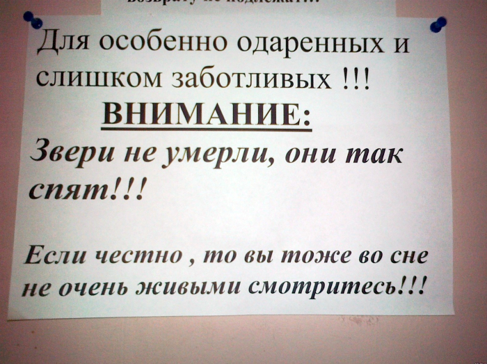 18 позитивных снимков, доказывающих, что зоопарке может быть очень весело