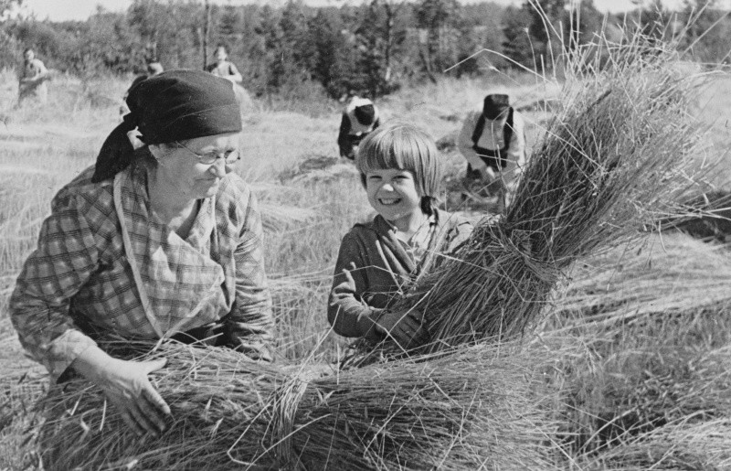 Фотографии Великой Отечественной войны: Женщина на войне