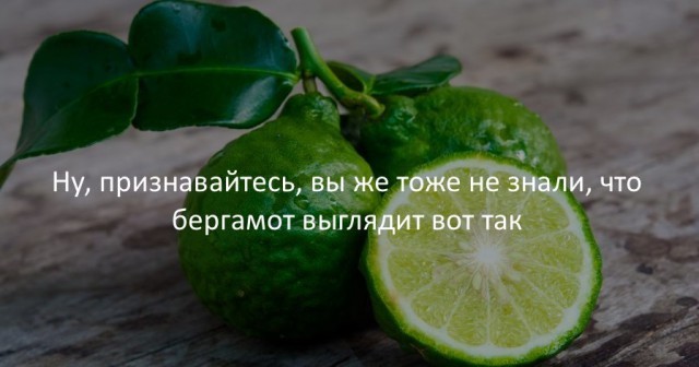 Занимательные факты