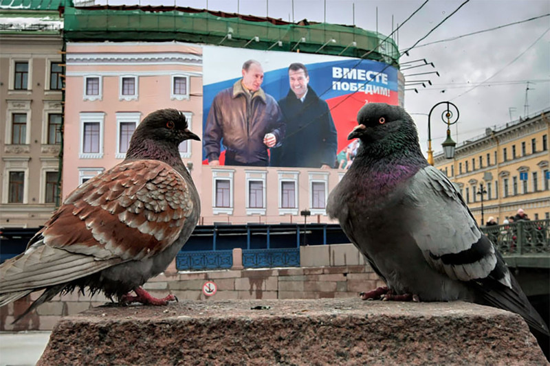 Алхимик Александр Петросян