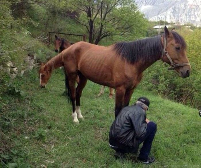 Показалось: 18 эпичных фотографий, к которым нужно присмотреться повниматильней