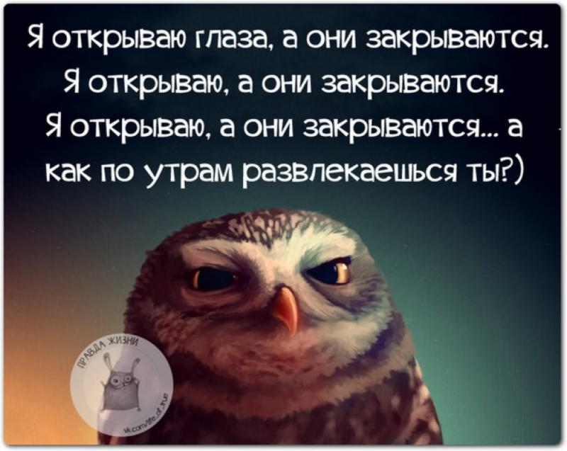 Все для настроения: Новая подборка позитивных фразочек в картинках