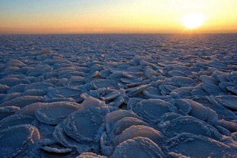 27 фото, в которых нет ни капли Фотошопа - а все равно берет за душу