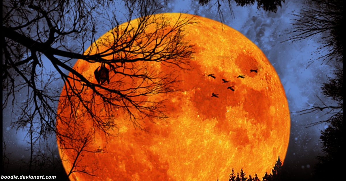 Большая оранжевая луна. Оранжевая Луна. Луна в огненных знаках.