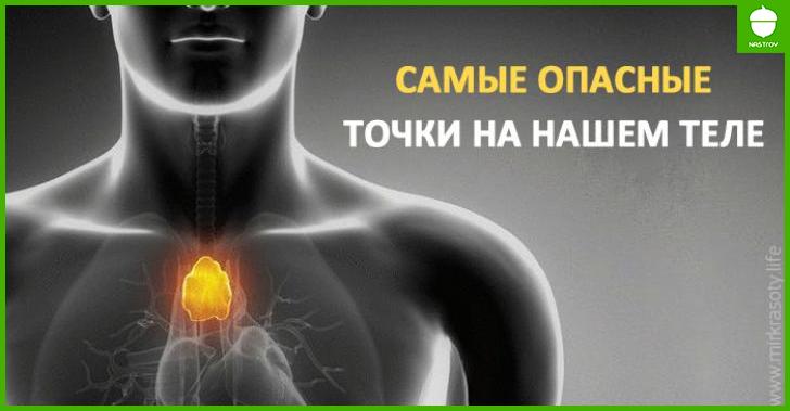 Самые опасные точки на человеческом теле