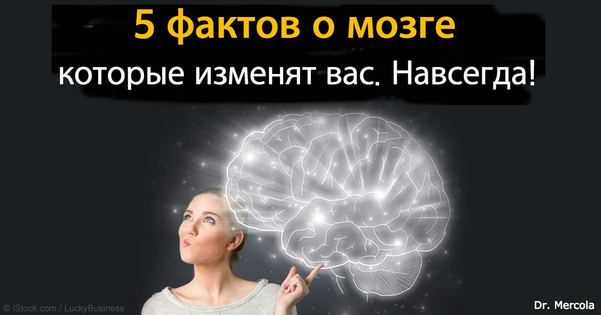 Если вы сможете осознать эти 5 фактов о мозге, изменится ВСЕ! 