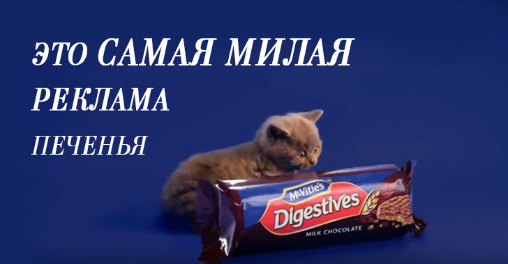Это самая милая реклама печенья