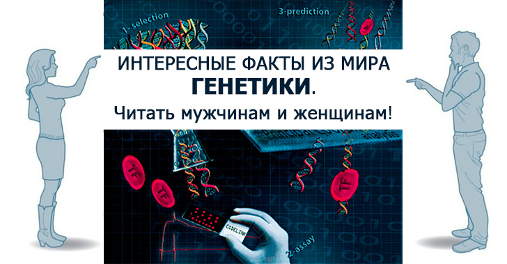 Интересные факты из мира генетики. Читать мужчинам и женщинам!