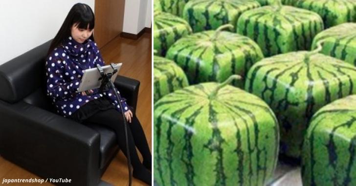 19 совершенно безумных вещей, которые могли появиться только в Японии