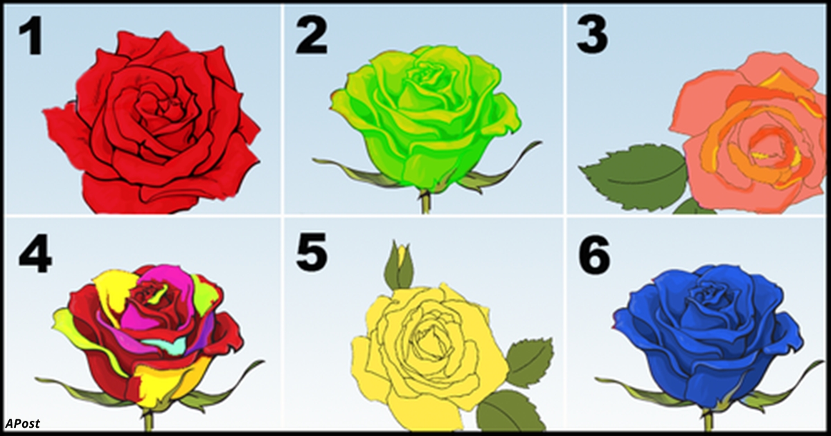Выберите самую красивую розу   и мы расскажем главный секрет вашей личности