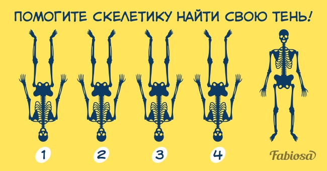 Помогите скелетику отыскать его тень! Это получается только у самых внимательных!