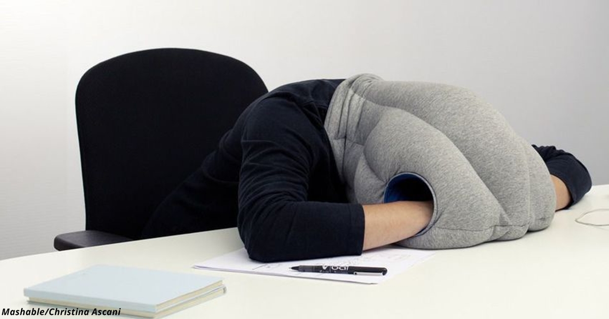 Вконец устал. Подушка для сна за столом. Подушка для офиса. Подушка для сна в офисе. Подушка страус для сна.