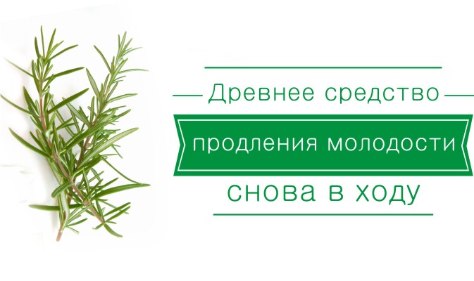 Древнее средство продления молодости снова в ходу: этот чай творит чудеса!