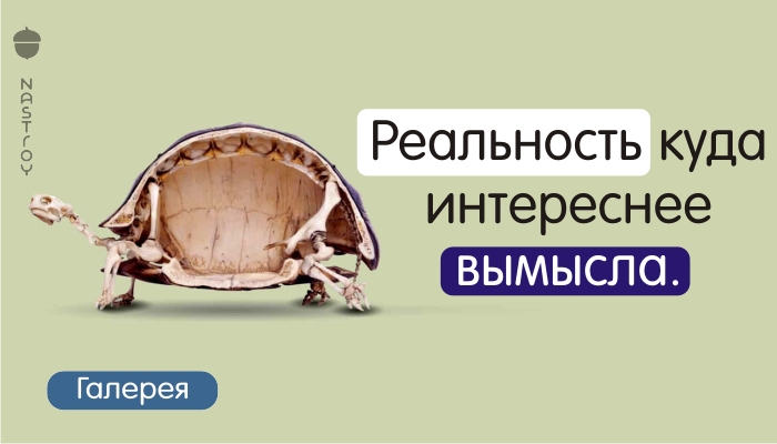 15 удивительных изображений, которые перевернут ваше представление о многих вещах