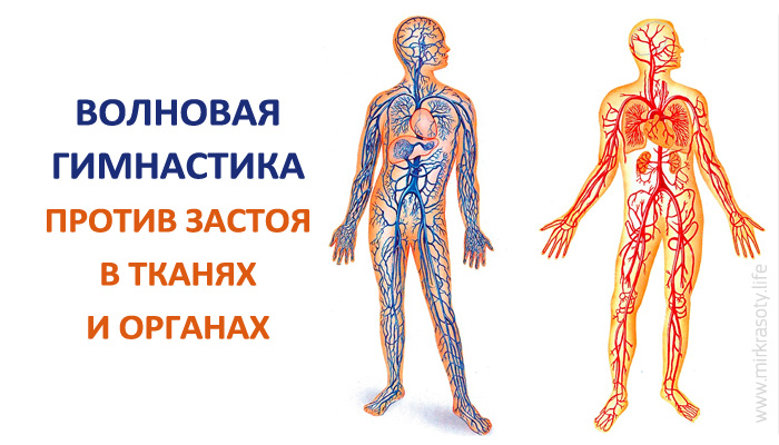 Волновая гимнастика против застоя в тканях и органах