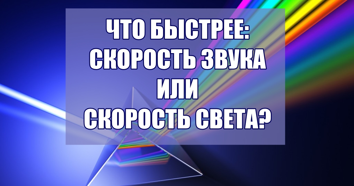 Сможем ли мы угадать ваш уровень образования по этим 16 вопросам? 