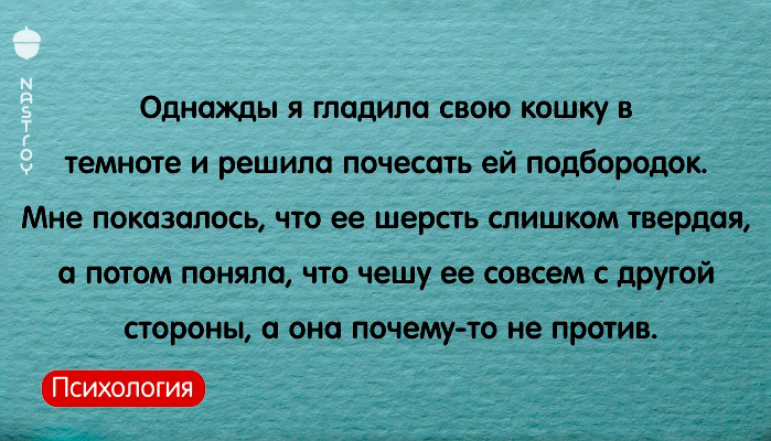 15 ситуаций, в которых рассказчикам хотелось провалиться сквозь землю 