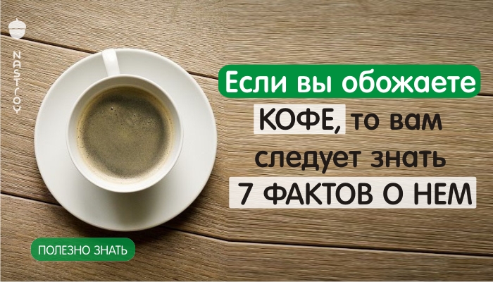 Если вы обожаете кофе, то вам следует знать 7 фактов о нем