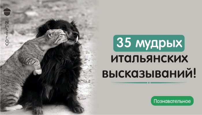 35 мудрых итальянских высказываний!