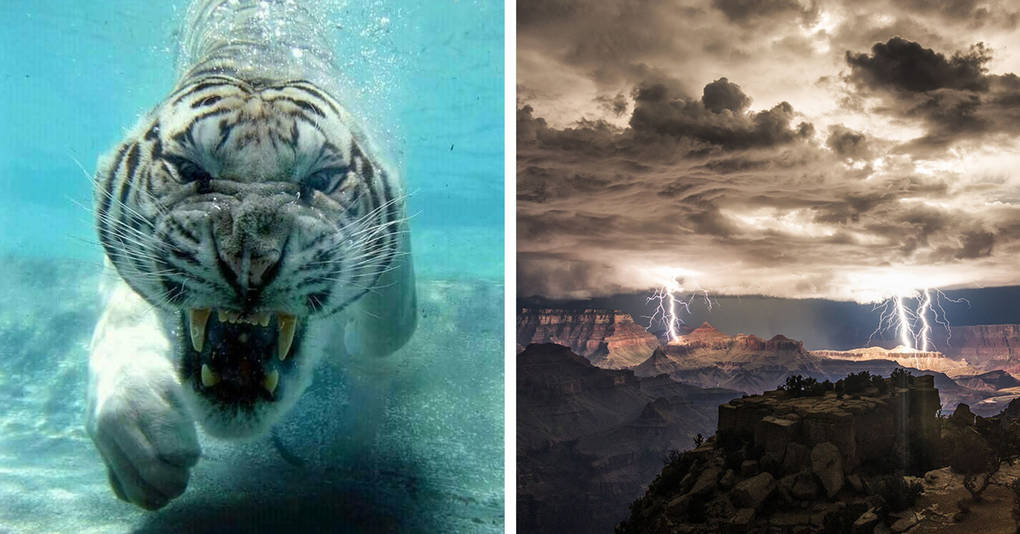 25 захватывающих фотографий, которые показывают всю мощь и разнообразие природы