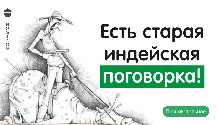 Есть старая индейская поговорка!