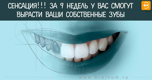 енсация!!! За 9 недель у вас смогут вырасти ваши собственные зубы