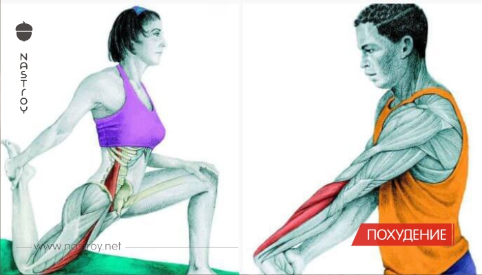 34 Упражнения на растяжку, которые подарят вам новое тело!