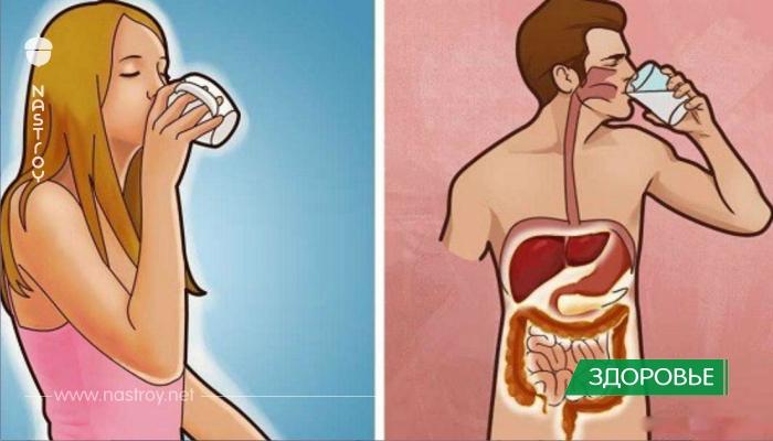 Вот что происходит с вашим телом каждый раз, когда вы пьете воду натощак