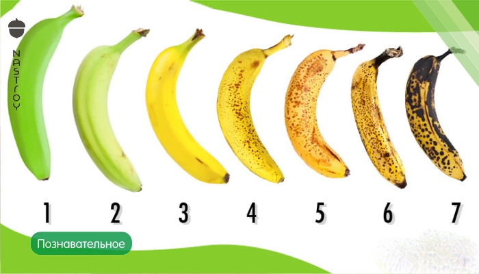 Какой из этих бананов купили бы вы? А вот какой надо брать на самом деле!