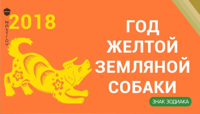 Желтая Земляная Собака наступает! Что уготовили звезды каждому знаку зодиака в 2018 году.