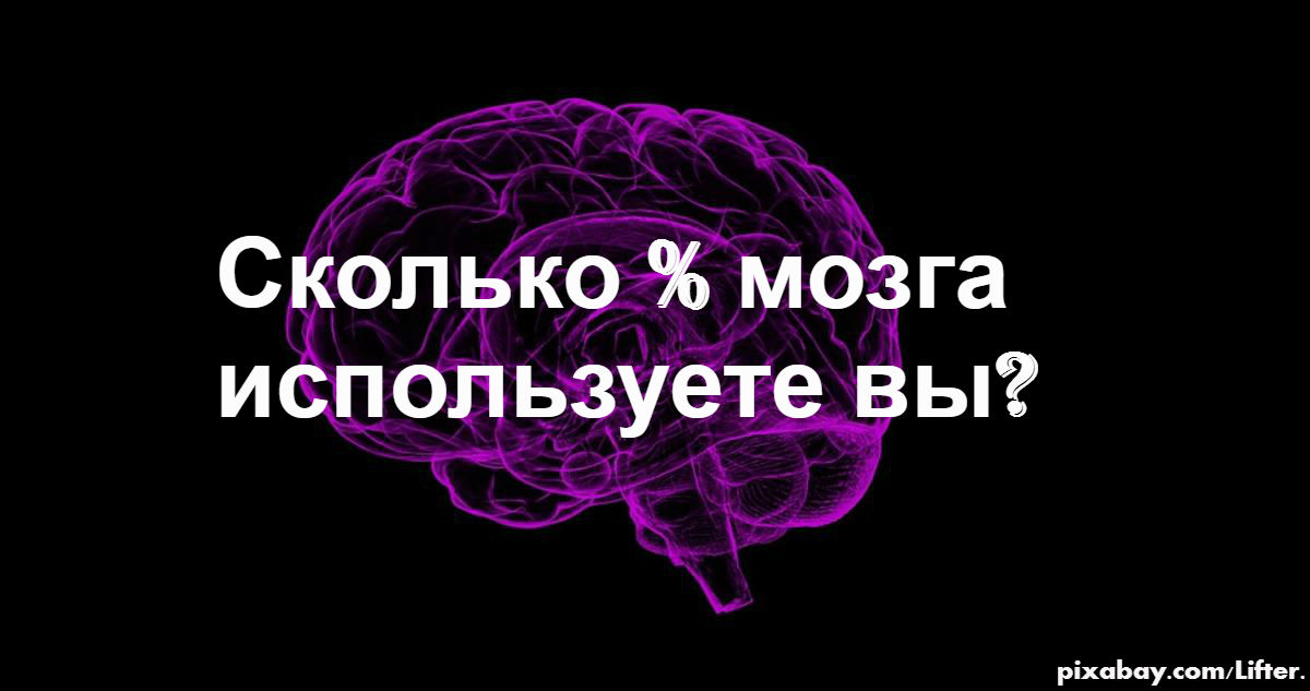 Мозг использует 10. Сколько процентов мозга использует. Насколько человек использует мозг. На сколько человек задействует свой мозг. Только 10 процентов мозга.