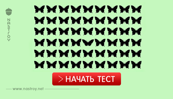 Тест под силу не каждому! Найдите ту пару, которая отличается! Попробуем?