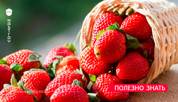 14 продуктов, которые можно есть в неограниченном количестве!