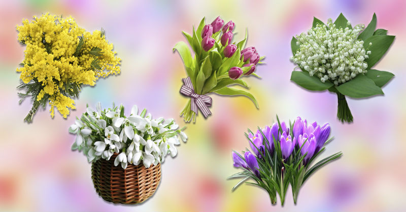 Пусть эти цветы расскажут, какие приятные события вам стоит ждать этой весной
