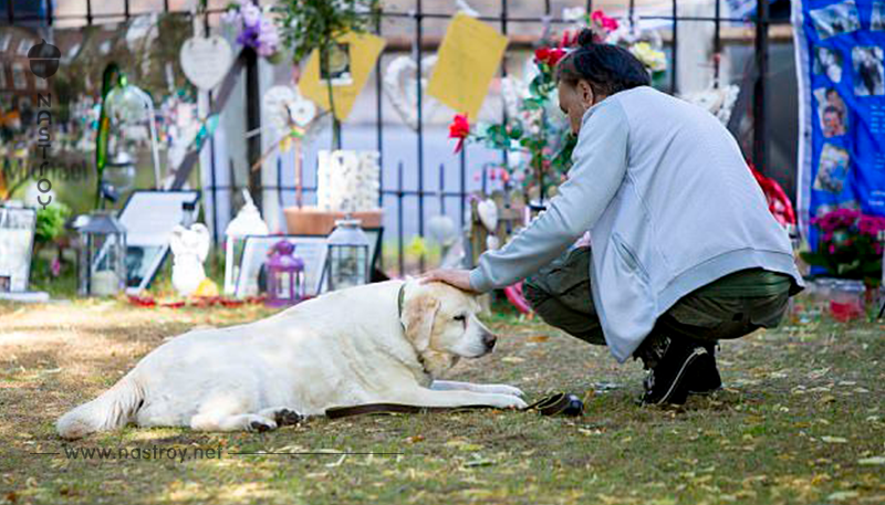 Собака Джорджа Майкла каждый день приходит к нему на могилу — фото!