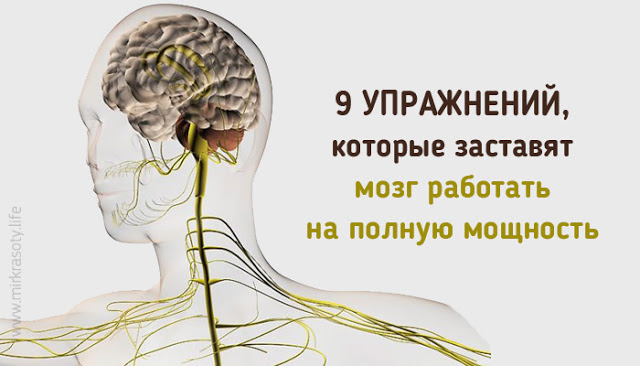 9 кинезиологических упражнений, которые заставят мозг работать на полную мощность