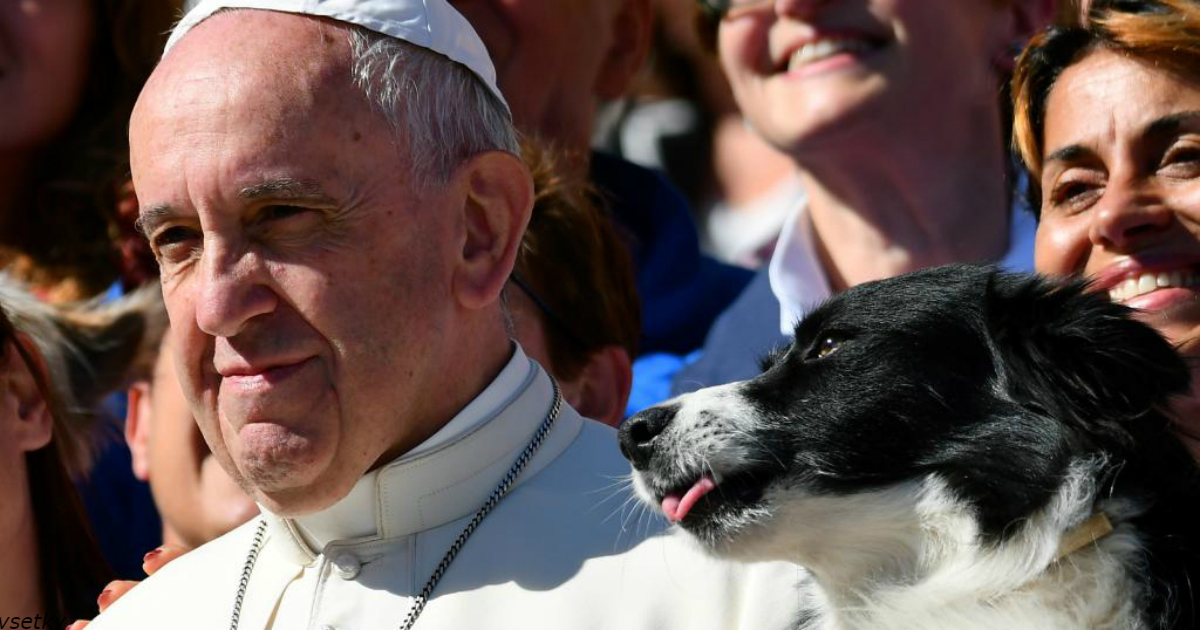 Папа Франциск говорит, что собаки тоже заслуживают того, чтобы попасть на небеса
