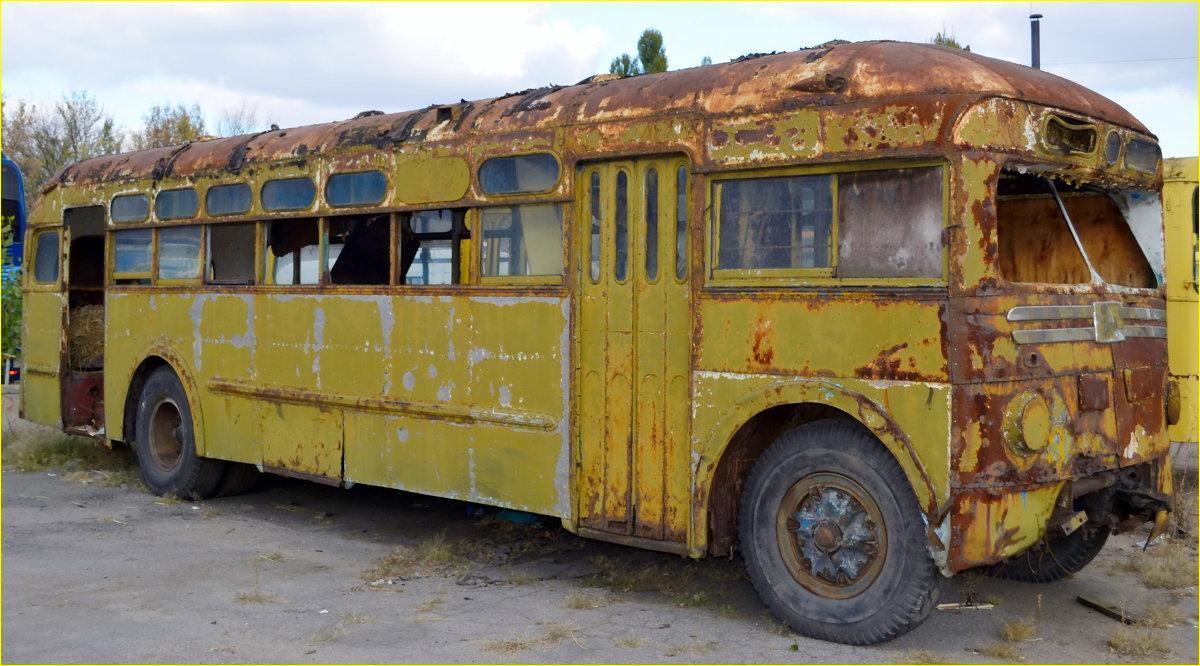 Девушка купила старый автобус за копейки. И превратила его в настоящие царские хоромы
