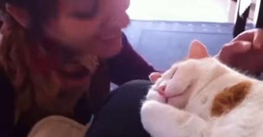 Женщина целует своего кота. Реакция животного просто бесподобна