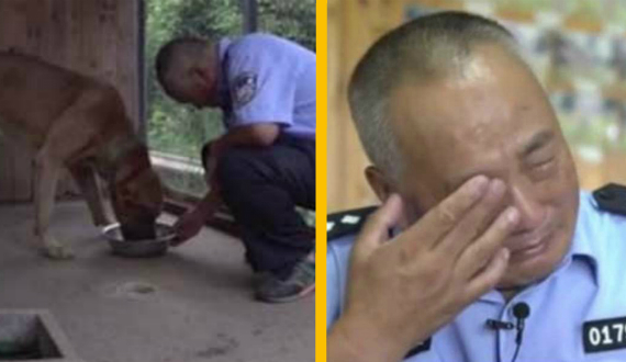 Ветеринары советовали усыпить пса, но мужчина не смог предать друга
