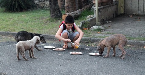 9 летний мальчик тратил все свои карманные деньги, чтобы покормить бездомных собак, а недавно открыл приют!