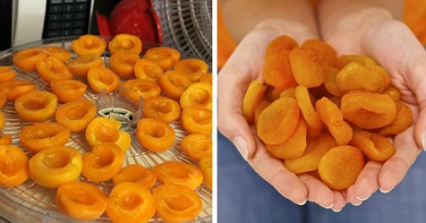 Как правильно сделать курагу из абрикоса в домашних условиях: вкусно и полезно