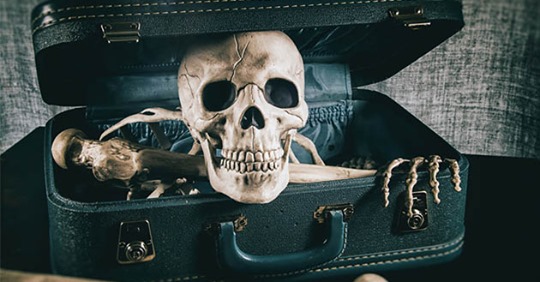 В аэропорту Мюнхена в багаже пассажирки нашли скелет ее покойного мужа