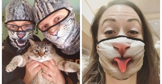 22 странных и смешных защитных масок для людей кошек