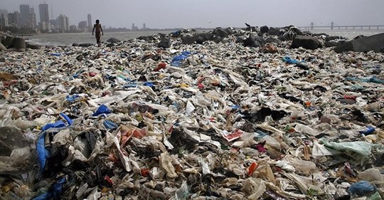 «Чемпион Земли»: как обычный человек очистил пляж от 5000 тонн мусора