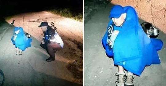 В Румынии бездомная собака всю ночь согревала травмированного велосипедиста