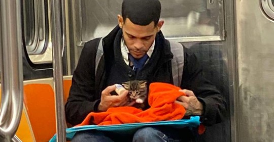 Фото незнакомца с котенком в метро возвращает веру в человечество  